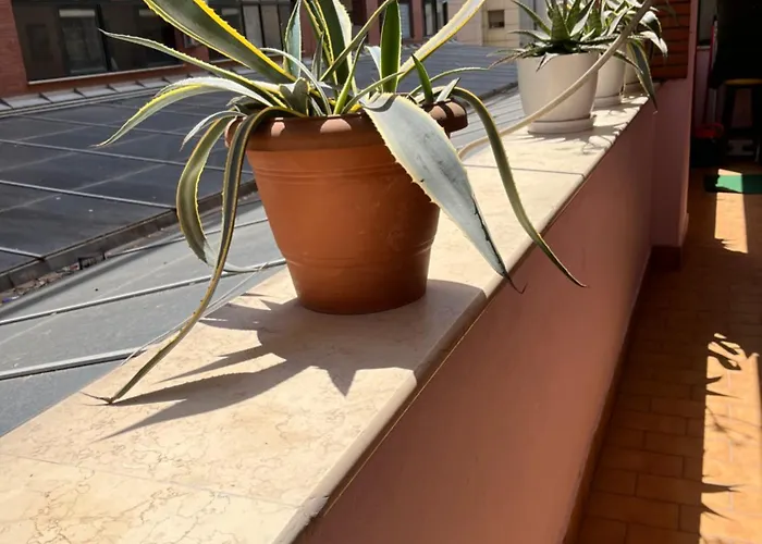 轻松中心公寓 *